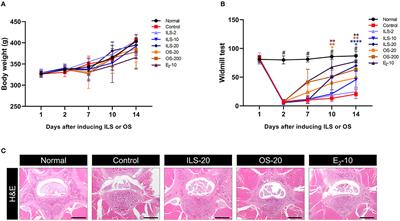 Effects of the administration of Shinbaro 2 in a rat lumbar disk herniation model